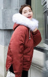 Womens Winter Short Puffy Coat with Hood in Pink